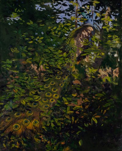 森の中の孔雀、書籍『Concealing Coloration in the Animal Kingdom』のための習作 作： Abbott Handerson Thayer