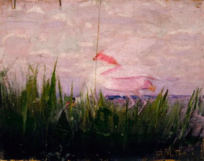 バラヘラサギ、『動物界における色彩の隠蔽』のための習作 作： Abbott Handerson Thayer