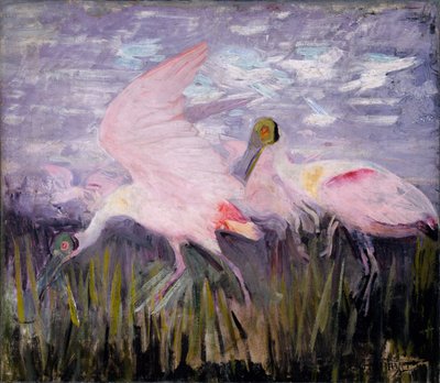 バラヘラサギ、『動物界における色彩の隠蔽』のための研究 作： Abbott Handerson Thayer