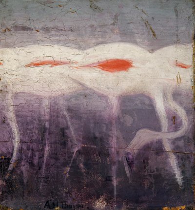 白いフラミンゴ、『動物界における色彩の隠蔽』のための研究 作： Abbott Handerson Thayer