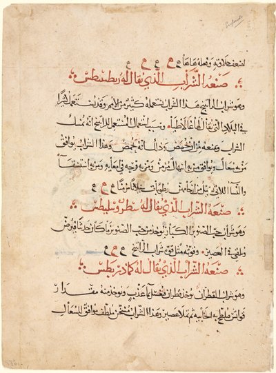 ディオスコリデスのマテリアメディカからのテキストページ、c。 1224。 作： Abdallah ibn al Fadl