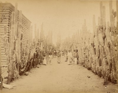 メキシコメキシコ州サンフアン村の通り。 作： Abel Briquet