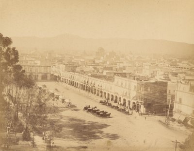 メキシコの景色メキシコ、メルカデレス・ポータル。 作： Abel Briquet