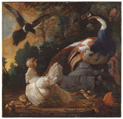 風景の中の孔雀、家禽、カササギ、1720 作： Abraham Bisschop