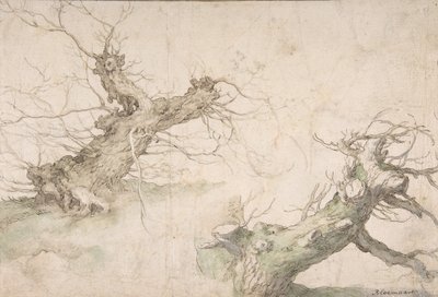 2 つのポラード柳の研究、Verso: Wide Landscape Prospect、16 世紀後半から 17 世紀半ば。 作： Abraham Bloemaert