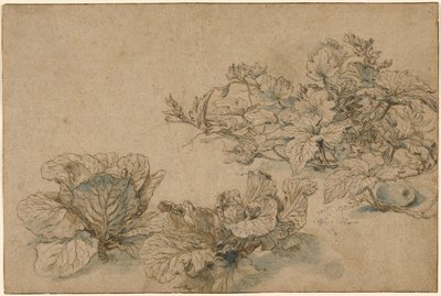 マロウとキャベツに関する研究 作： Abraham Bloemaert