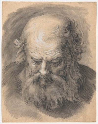 あごひげを生やした男の頭の研究 作： Abraham Bloemaert