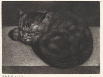 眠る猫 作： Abraham Bloteling