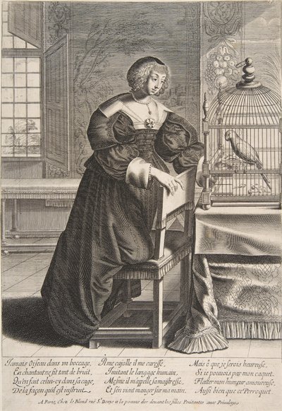 オウム、1620-76。 作： Abraham Bosse