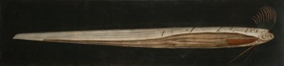  作： Abraham Bruiningh van Worrell