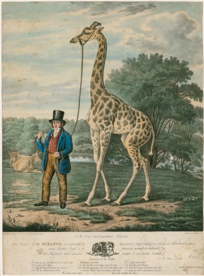 1827年のキリンの肖像 作： Abraham Bruiningh van Worrell
