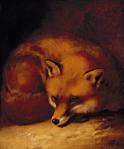 Aフォックス 作： Abraham Cooper