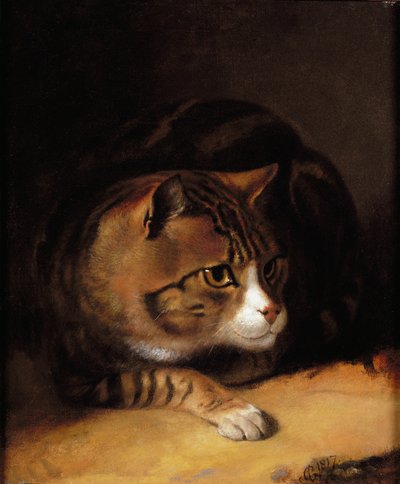タビーキャット 作： Abraham Cooper