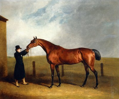 ウドニー大佐のベイコルトトリュフ、1815年に新郎が手にした魔術師 作： Abraham Cooper