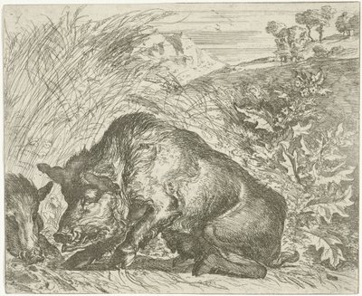 イノシシ いろいろな動物（シリーズタイトル） 作： Abraham Danielsz. Hondius