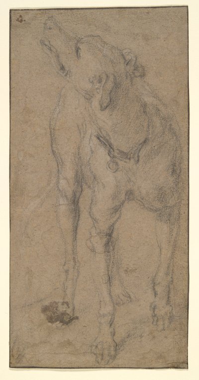 犬の研究 作： Abraham Hondius