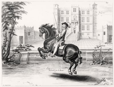 ピーター・クルーウェット（1629-70）、1658年に刻まれた乗馬マニュアルのイラスト 作： Abraham Jansz. van after Diepenbeeck