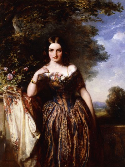 夫人J.ハードキャッスル、旧姓アンキャッパーの肖像 作： Abraham Solomon