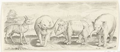 ガゼル、ゾウ、サイ 動物（シリーズタイトル） 作： Abraham de Bruyn (possibly)