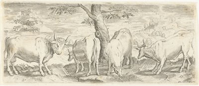牛、雄牛、牛 動物（シリーズタイトル） 作： Abraham de Bruyn (possibly)