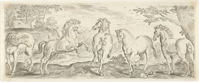 馬 動物（シリーズタイトル） 作： Abraham de Bruyn (possibly)