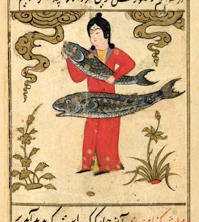 黄道帯の星座：うお座、魚、タリムダルマリファットiタクヴイム、1498年（903ヒジュラ） 作： Abu Jafar al Tabari