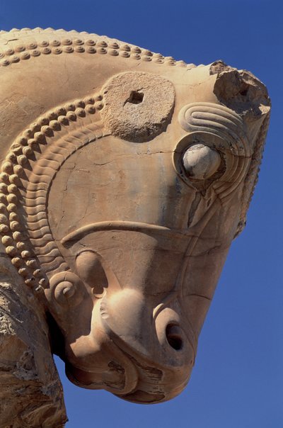クセルクセスの玉座ホールの北側の柱廊にある雄牛の頭 作： Achaemenid