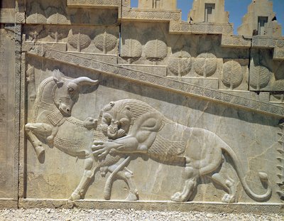 ライオンが雄牛と戦い、アケマニアン時代のアパダナの東階段に浮き彫り、c.515 作： Achaemenid