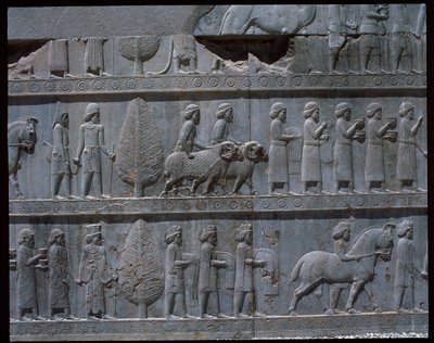 東側階段のレリーフの様子 作： Achaemenid