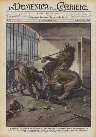 モンファルコーネでは、動物園の3頭のライオンが突然同伴者を襲いました。 作： Achille Beltrame