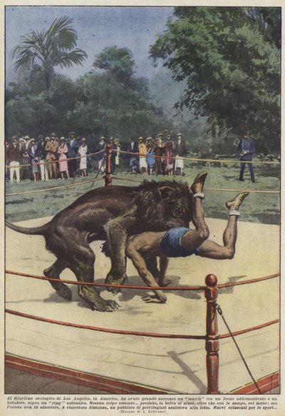 アメリカ、ロサンゼルスの動物園のライオンとの試合はありましたか？ 作： Achille Beltrame