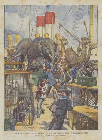 獣、陸上輸送を積んだニューヨークのドイツ蒸気アビシニアの到着 作： Achille Beltrame