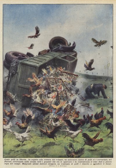 野生の100羽の鶏 作： Achille Beltrame