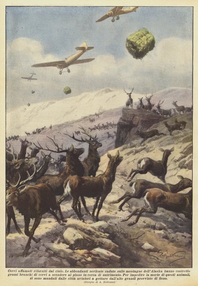 空から供給される空腹の鹿 作： Achille Beltrame