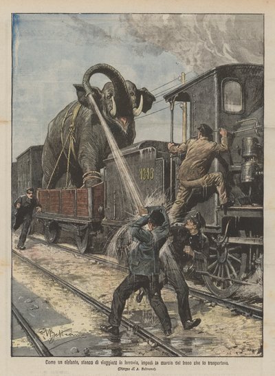 象のように、鉄道での移動に飽きて、それを運ぶ列車の行進を妨げます 作： Achille Beltrame