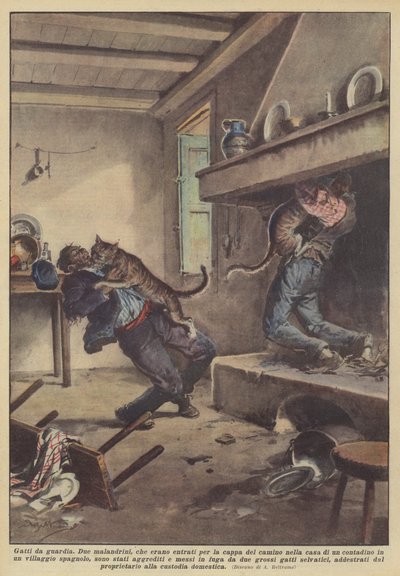 番猫 作： Achille Beltrame