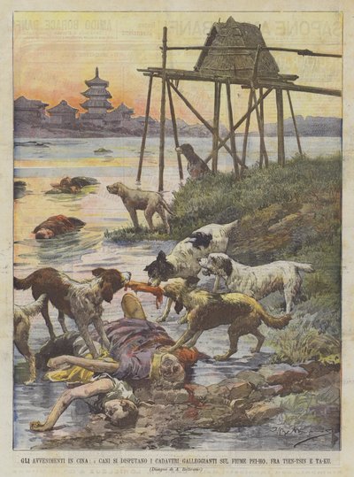 中国での出来事、犬は天津と大区の間のペイホー川に浮かぶ死体を解体する 作： Achille Beltrame
