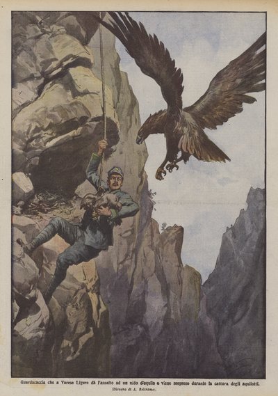 Varese Ligureでdaquileの巣を作って驚いたゲームキーパーは？ 作： Achille Beltrame