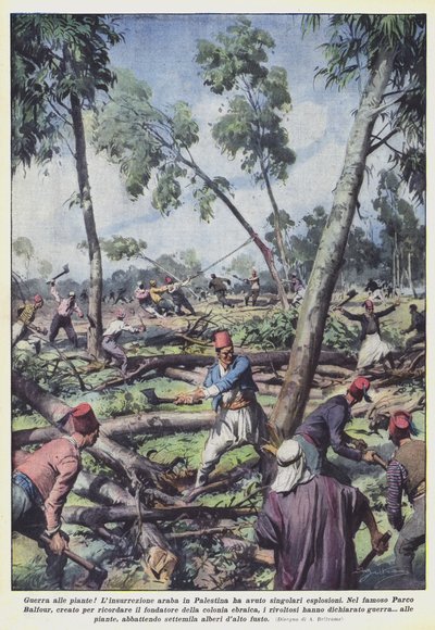 植物との戦争！ 作： Achille Beltrame