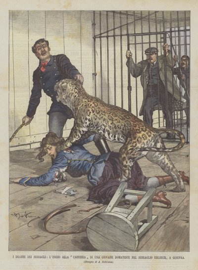 ジュネーブのエールベック・メナジェリーでの若い女性のキャリアの始まり、動物園ドラマ 作： Achille Beltrame