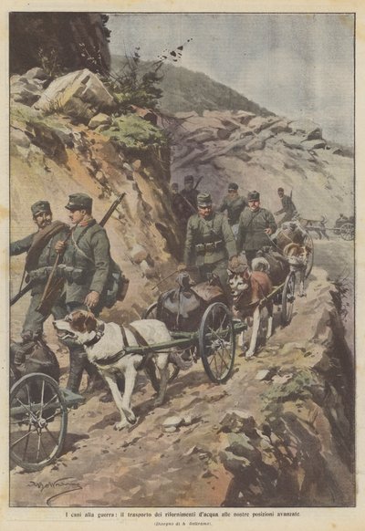 戦争中の犬、私たちの高度な位置への水の供給の輸送 作： Achille Beltrame