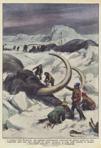 先史時代の目撃者 作： Achille Beltrame