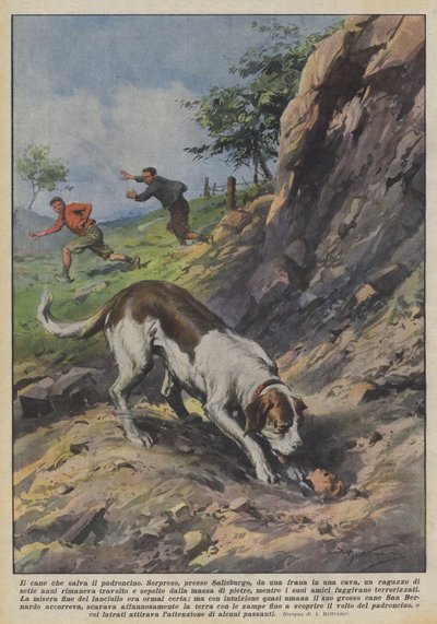 飼い主を救う犬 作： Achille Beltrame
