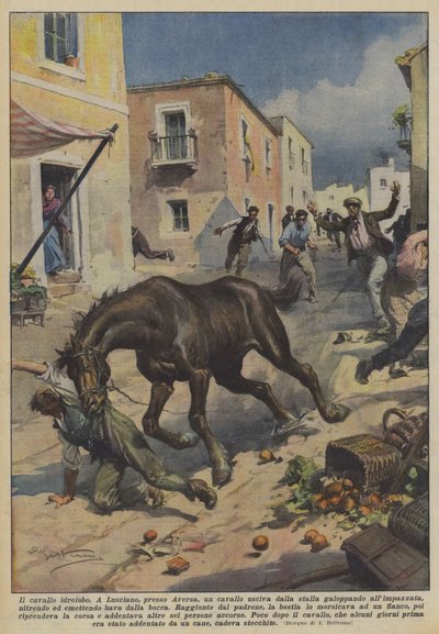 疎水性の馬 作： Achille Beltrame