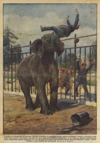 厚皮の犯罪 作： Achille Beltrame