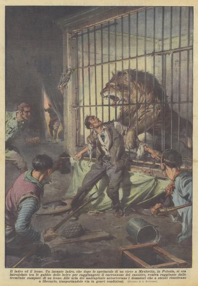 泥棒とライオン 作： Achille Beltrame