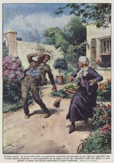 泥棒は罰せられた 作： Achille Beltrame