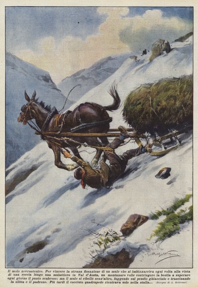 神経衰弱のラバ 作： Achille Beltrame