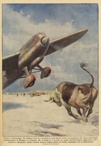 雄牛と飛行機 作： Achille Beltrame