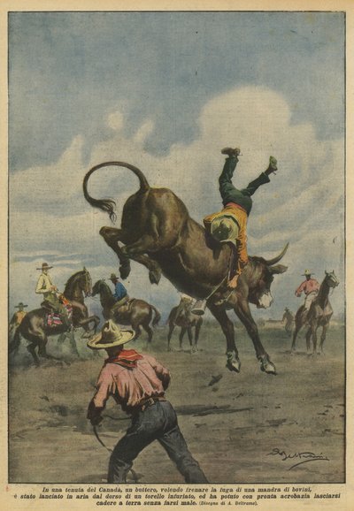 カナダの地所で、一群の牛の群れの脱出を抑制したいですか？ 作： Achille Beltrame